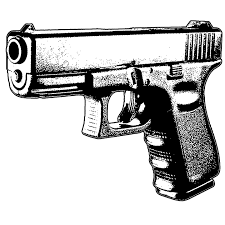 Gun